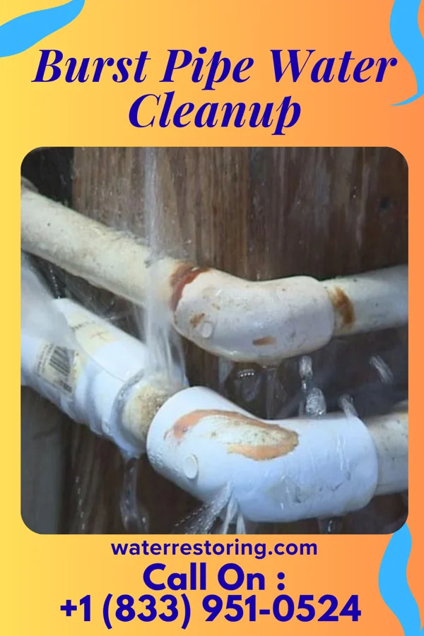 Burst Pipe Water Cleanup in Slatington, PA