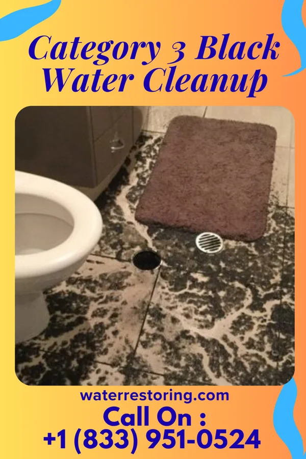 Category 3 Black Water Cleanup in Slatington, PA